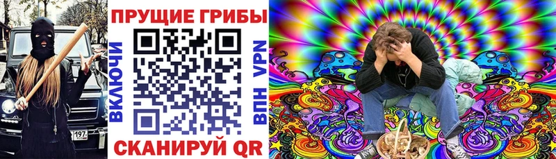 Купить закладки  Сальск  Галлюциногенные грибы GOLDEN TEACHER 